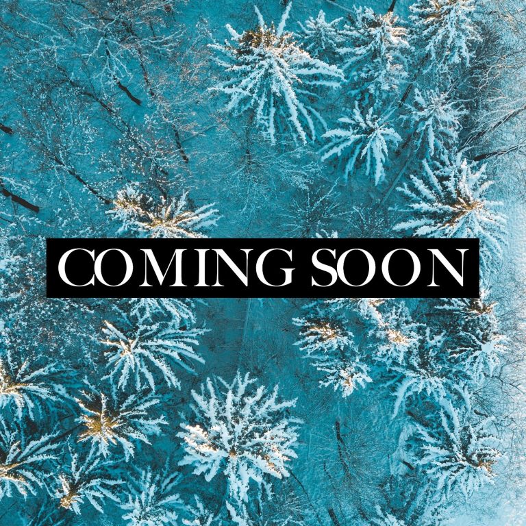 Willow's Rainbow Tales original oil on canvas A smiling lamb portrait against a colourful, blurred background.