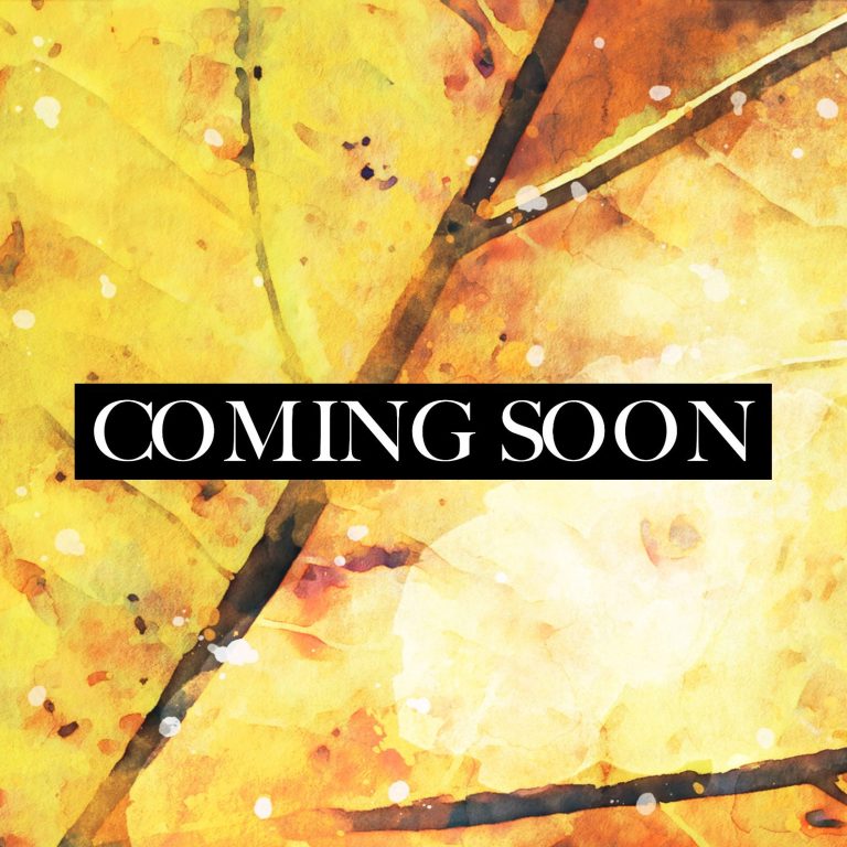 Willow's Rainbow Tales original oil on canvas A smiling lamb portrait against a colourful, blurred background.